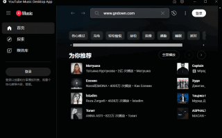 YouTube Music Desktop(YouTube音乐播放器) v2.0.8 多语便携版