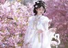 我们不是春日限定，我们是来日方长