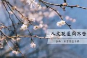 人文花道美学营