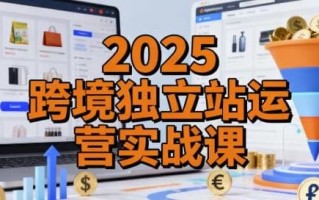 2025跨境独立站运营实战课，建站搭建+流量获取+转化优化三大核心模块精讲