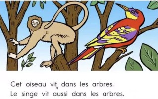 French for youth 少儿法语课