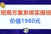 招商方案系统实操班 价值1980元