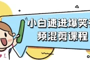 小白速进爆笑视频混剪课程