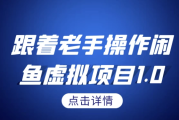 跟着老手操作闲鱼虚拟项目1.0