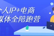 个人IP+电商自媒体全陪跑营