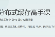分布式缓存高手课