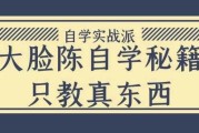 大脸陈自学秘籍只教真东西