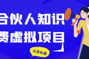 IP合伙人知识付费虚拟项目
