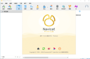 Navicat Premium(数据库管理工具) v17.1.3 中文破解版