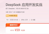 DeepSeek应用开发实战，音频+PDF