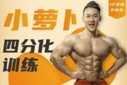 小萝卜四分化进阶训练