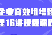 企业高效组织管理16讲视频课程