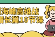 刘海峰高维战略增长篇10节课