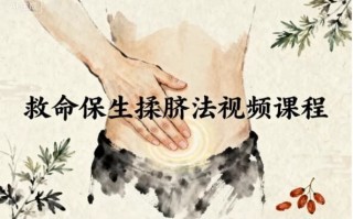 救命保生揉脐法视频课程