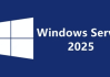 Windows Server 2025 24H2 (26100.3775)