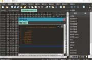 010 Editor v15.0 简体中文汉化破解绿色版