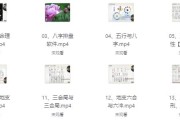 赵奕臻子平之法精英篇