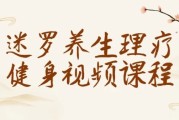 迷罗养生理疗健身视频课程