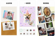 InCollage 照片拼接拼图编辑 v1.502.254 解锁专业版