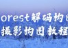 Forest解码构图摄影构图教程