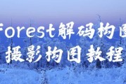 Forest解码构图摄影构图教程