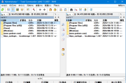 Total Commander(文件管理器) v11.50 多语便携版