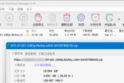 Internet Download Manager 6.42.20 (IDM下载器) 绿色版