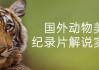 国外动物美食纪录片解说实战课