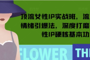 顶流女性IP实战班，流量上亿情绪引爆法，深度打磨顶流女性IP硬核基本功
