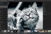 NeeView(高效实用的图片浏览器) v42.5 中文绿色版