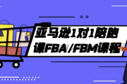 亚马逊1对1陪跑课FBA/FBM课程