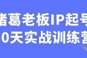 诸葛老板IP起号30天实战训练营