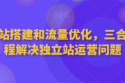 独立站搭建和流量优化三合一课程