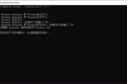 DefenderRemover(删除禁用Windows安全中心) v12.8.1 汉化绿色版
