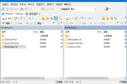 WinSCP(SSH图形化SFTP客户端) v6.3.7 多语便携版