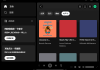 Spotify(正版流媒体音乐平台) v1.2.61.431 多语便携版