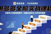 大炮拼多多全阶实战课程，从新手小白到运营高手，海量实战玩法+全年实时更新【2025年9月更新】