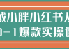 戴小胖小红书从0-1爆款实操课