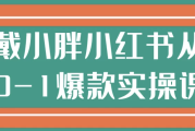 戴小胖小红书从0-1爆款实操课