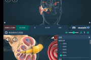 Android The mechanism of hearing educational VR 3D 人体耳朵_v1.27