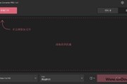 Icecream Video Converter(视频转换软件) Pro v1.45 多语便携版