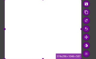 Flameshot(开源免费的截图工具) v13.2.0 中文绿色版