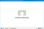 DLNow Video Downloader v1.54.2025.05.31 多语便携版