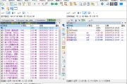 文件管理工具 Total Commander v11.55 中文绿色便携增强版