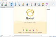 Navicat Premium(数据库管理工具) v17.1.10 中文破解版