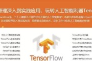 基于Python玩转人工智能最火框架 TensorFlow应用实践