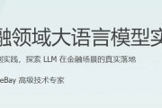 金融领域大语言模型实战