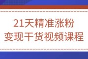 21天精准涨粉变现干货视频课程