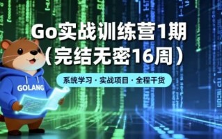 Go 实战训练营1期（完结无密16周）