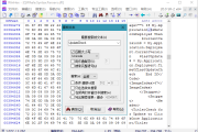 十六进制编辑 WinHex v21.5 中文绿色版